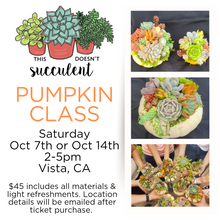 DIY succulent topped pumpkin class.