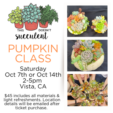 DIY succulent topped pumpkin class.