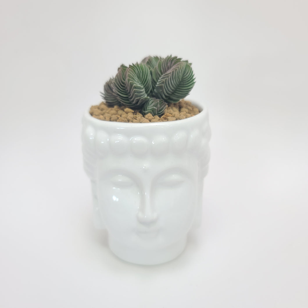 Buddha head planter pot