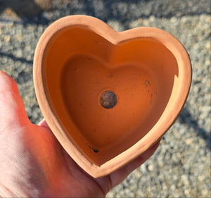 Terracotta heart pot