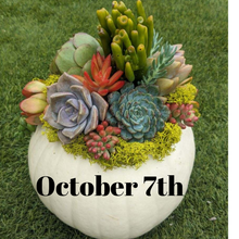 DIY succulent topped pumpkin class.