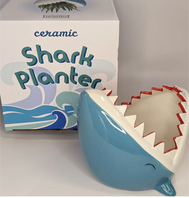Shark Planter pot