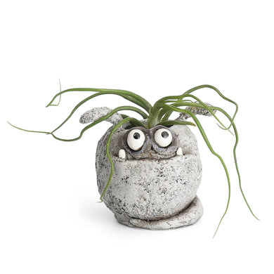 SPUD Mini Planter