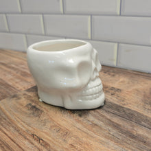 Skull drop-in planter pot