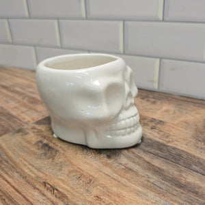 Skull drop-in planter pot