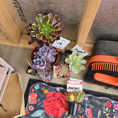 CUSTOM ORDER jrwalton10 Instagram Live Sale