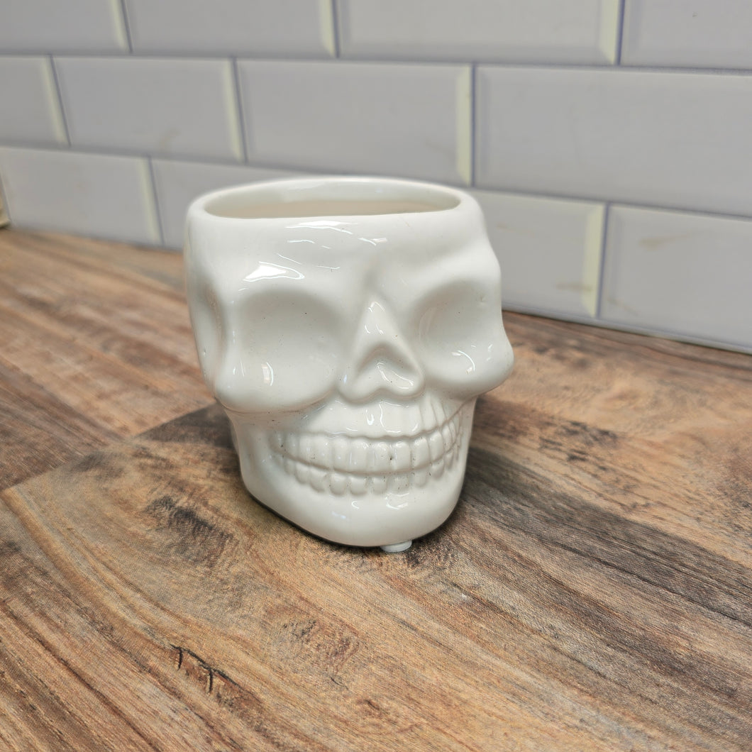 Skull drop-in planter pot