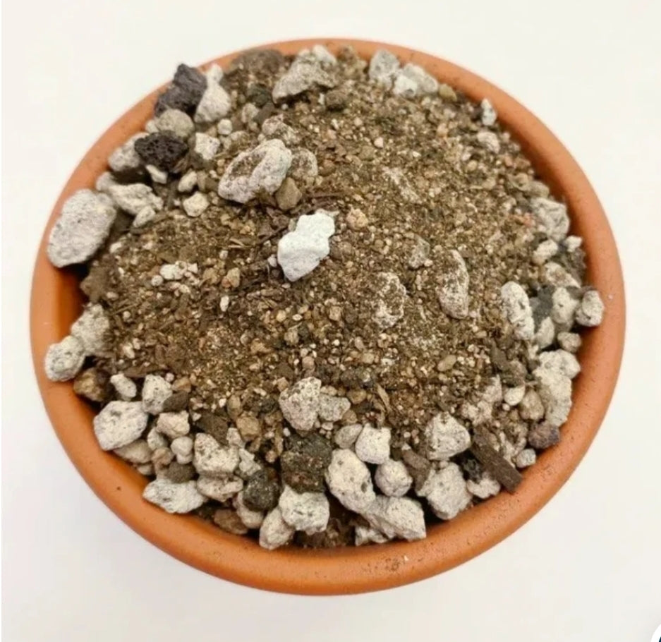 Flat rate box of soil