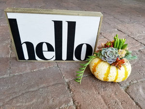DIY Succulent Topped Pumpkin kit